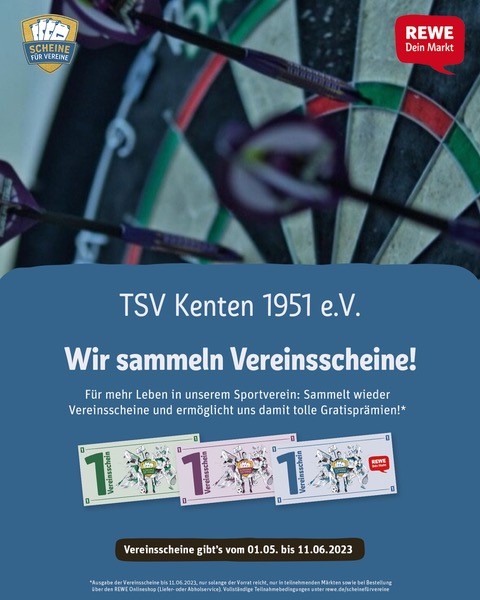 Scheine für Vereine Darts