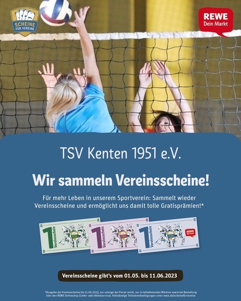 Scheine für Vereine Volleyball